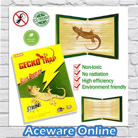 Lizard Gecko Strong Adhesive Sticky Glue Trap Boards for Pest Control | Shopee Malaysia