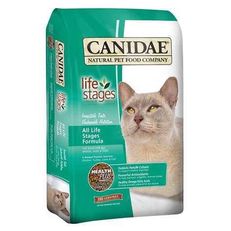 Best Dry Cat Food For Senior Cats That Vomit - Recipe Collections