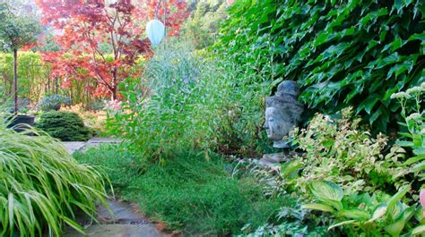 A Garden in the Concrete Jungle, Part 2 - FineGardening | Shade plants ...