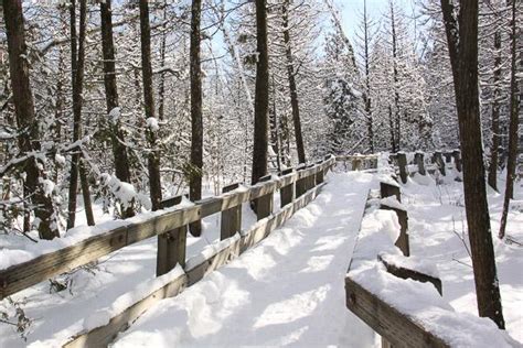 Winter Wonders at Crawford Lake Conservation Area - City Parent