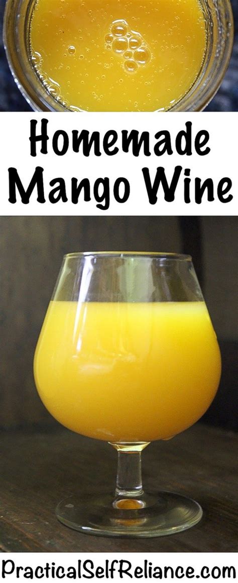 Mango Wine ~ Small Batch Recipe | Recipe | Mango wine, Wine making ...