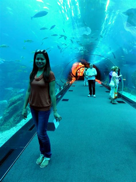 TRAVEL AND LIFESTYLE DIARIES - : A walk through the tunnel of Dubai ...