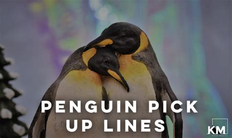 20+ Best Penguin Pick Up Lines - Kenyan Magazine