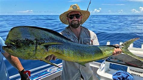 Mahi mahi a popular sport fish | The Courier Mail