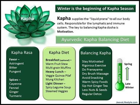 Kapha Dosha - Learn how to balance your Kapha Dosha | Ayurveda kapha, Ayurveda, Ayurvedic healing