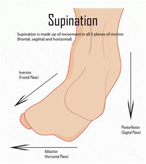 10 Best Running Shoes for Supination Reviewed in September 2018