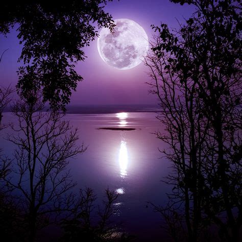 17 Best VIOLET MOON images | Moon, Shoot the moon, Moon pictures