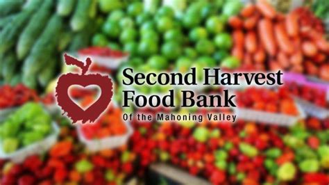 Second Harvest Food Bank distributes record amount of food | WYTV