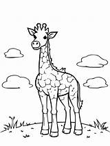 30 Melhores Páginas Para Colorir De girafas Imprimir Crianças  sketch template