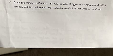 [Solved] Bio 30. f. Draw the Achilles reflex arc. Be sure to label 3 ...