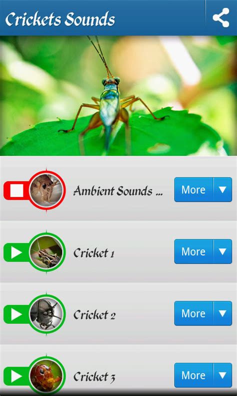 Cricket sounds Android App - Free APK by Aleksandar Milosevic