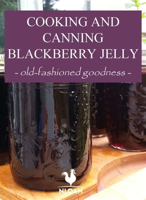 Canning Blackberry Jelly (Old-Fashioned Goodness)