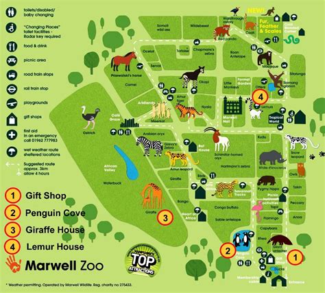 Marwell ZOO