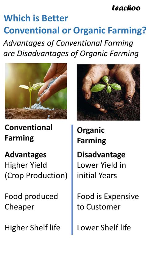 Advantages Of Organic Farming