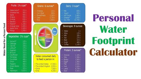 Personal Water Footprint calculation - YouTube