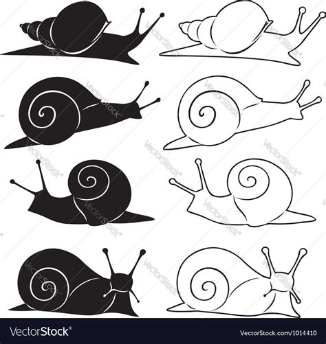 Snail Royalty Free Vector Image - VectorStock