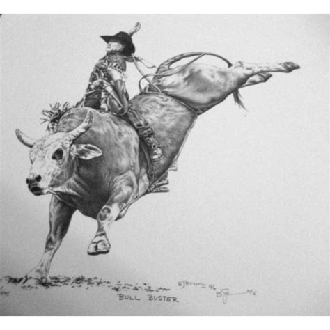 Bucking Bull Drawing at PaintingValley.com | Explore collection of ...