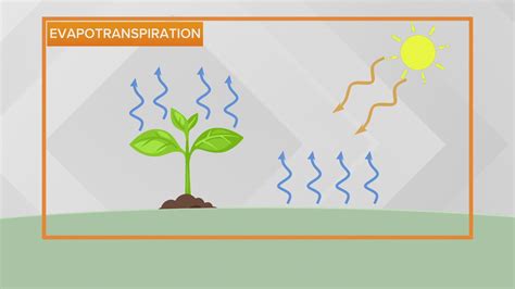 What is the difference between dew point and relative humidity? | weareiowa.com