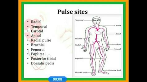 Pulse Sites - YouTube