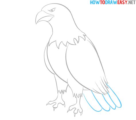 How to Draw an Eagle Easy - How to Draw Easy