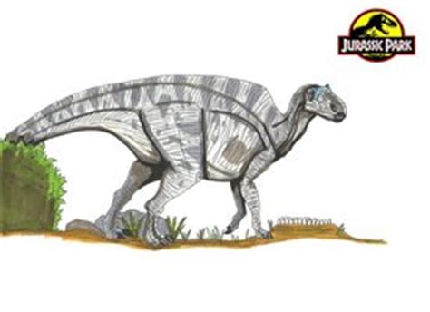 Maiasaura - Park Pedia - Jurassic Park, Dinosaurs, Stephen Spielberg