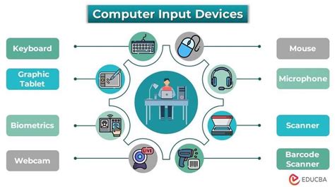 Computer Hardware Input Devices Examples