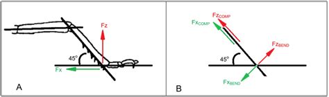 Resolving forces. Diagram showing force resolution from horizontal and... | Download Scientific ...