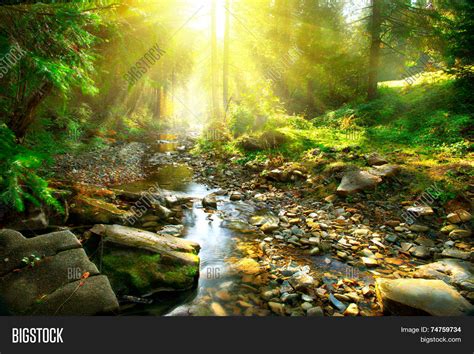 Mountain River with, forest landscape. Tranquil waterfall scenery in ...