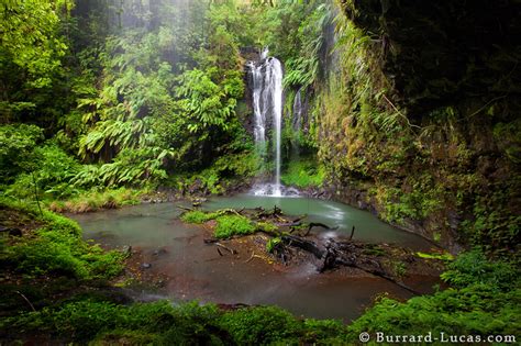 Rainforest Waterfall - Burrard-Lucas Photography