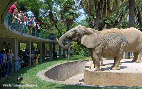 Barcelona Zoo | Tourism in Barcelona