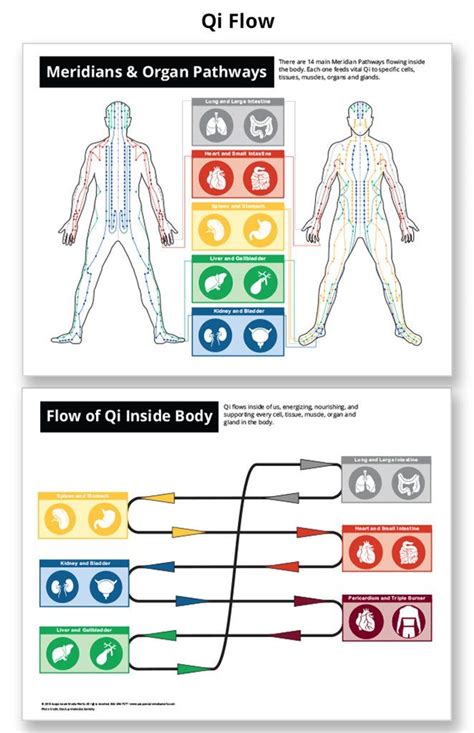 Qi Flow/Meridian Chart in 2020 | Patient education, Health fair, Meridian