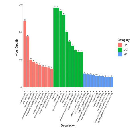 AoBP on Twitter: "🌾 Newly published in @AoB_PLANTS Transcriptome analysis of brassinolide under ...