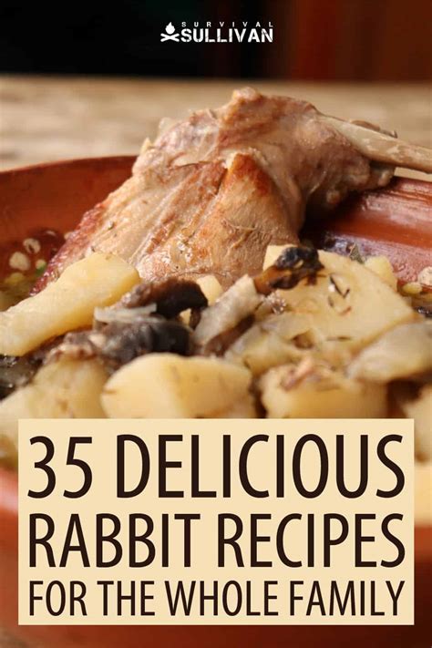 34 Delicious Rabbit Recipes for the Whole Family