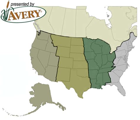 Waterfowl Migration Map & Reports | Grand View Outdoors