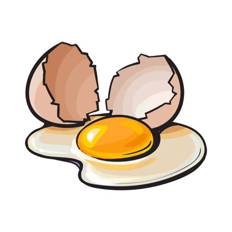 Royalty Free Broken Egg Shell Drawings Clip Art, Vector Images ...