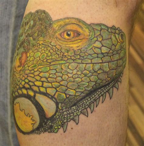 Chameleon tattoo | Best tattoo design ideas