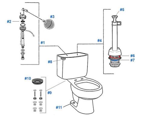 A Visual Guide to Toilet Plumbing Components