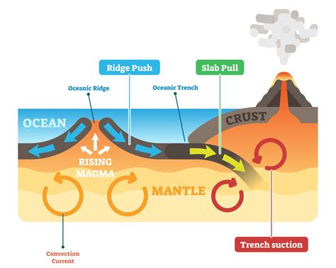 Week 2 Plate Tectonics