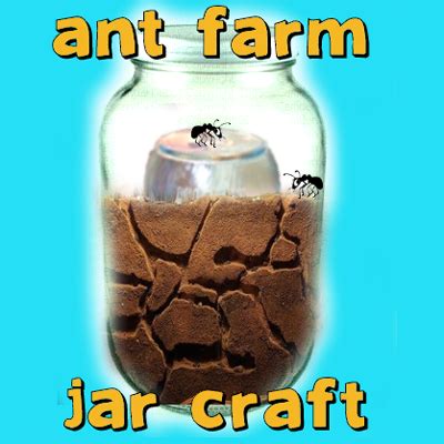 How To Build A Ant Farm - Encycloall