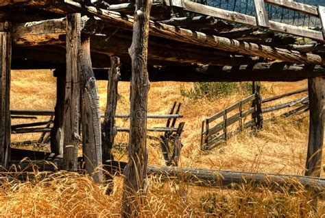 Corral gate stock image. Image of amber, sunny, tall - 25961201