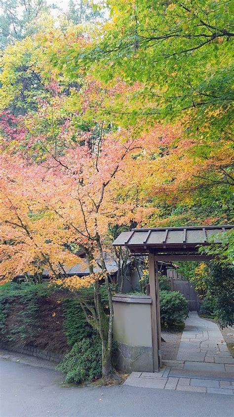 Fall at the Portland Japanese Garden - Pechluck's Food Adventures