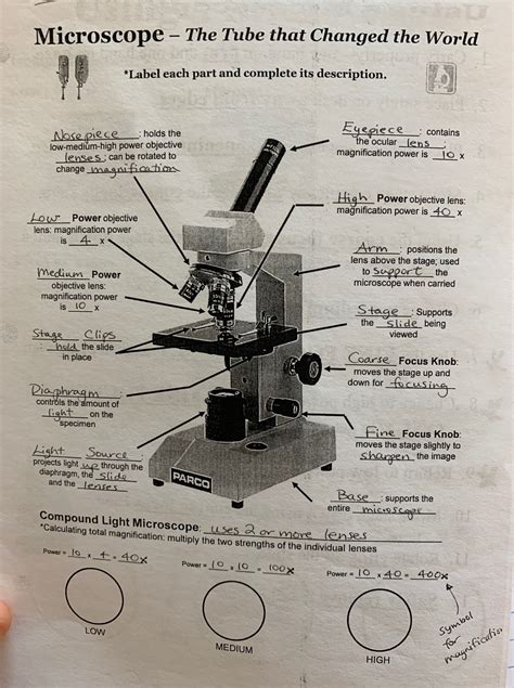 microscope parts and functions | 644 plays | Quizizz