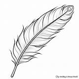 Feather Coloring Pages Free sketch template