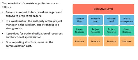 Organization Structure: Matrix Organization