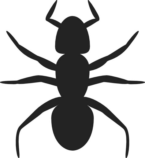 Ant Silhouette Clip Art at Clker.com - vector clip art online, royalty ...