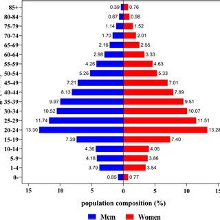 Distribution of Population Pyramid in Guangzhou from 2004 to 2018 | Download Scientific Diagram