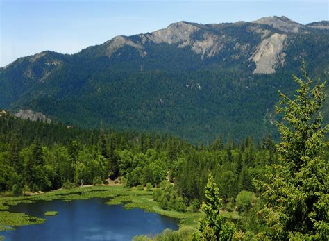 Best Hikes in Mendocino National Forest (CA) | Trailhead Traveler