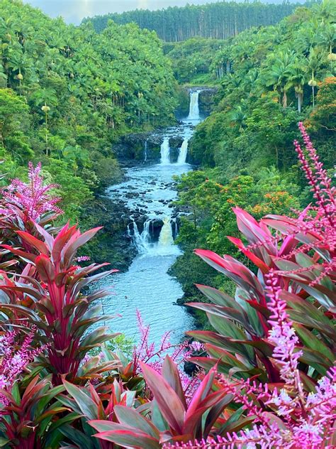 Exploring Hawaii's Umauma Falls: Where to Start | Umauma Experience