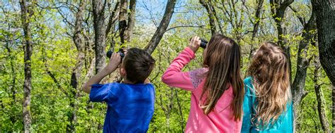 Summer nature camps - Canadian Museum of Nature