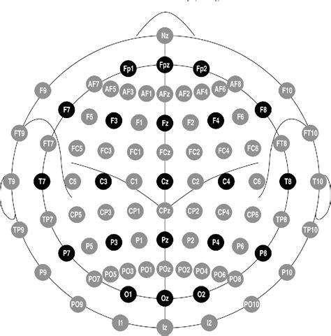 Placement Of Eeg Electrodes